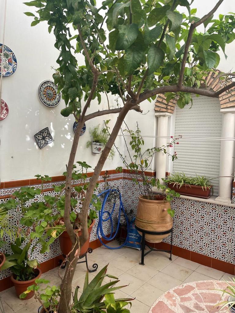 Alyana Hostel Cordoba