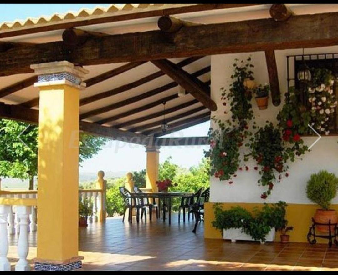 Majada Alta