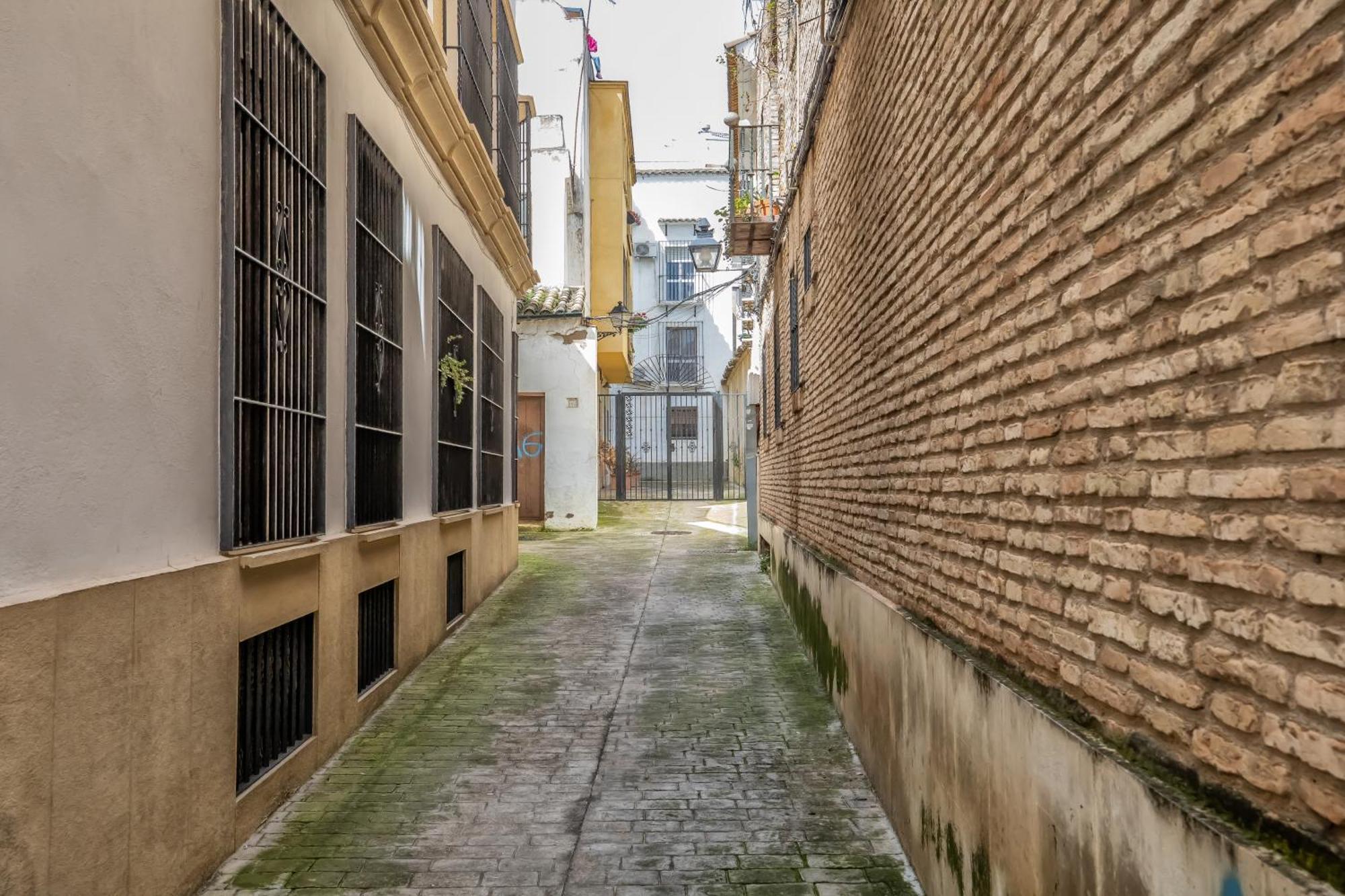 Apartamento Andalusi & Centre & Parking Incluido Córdoba