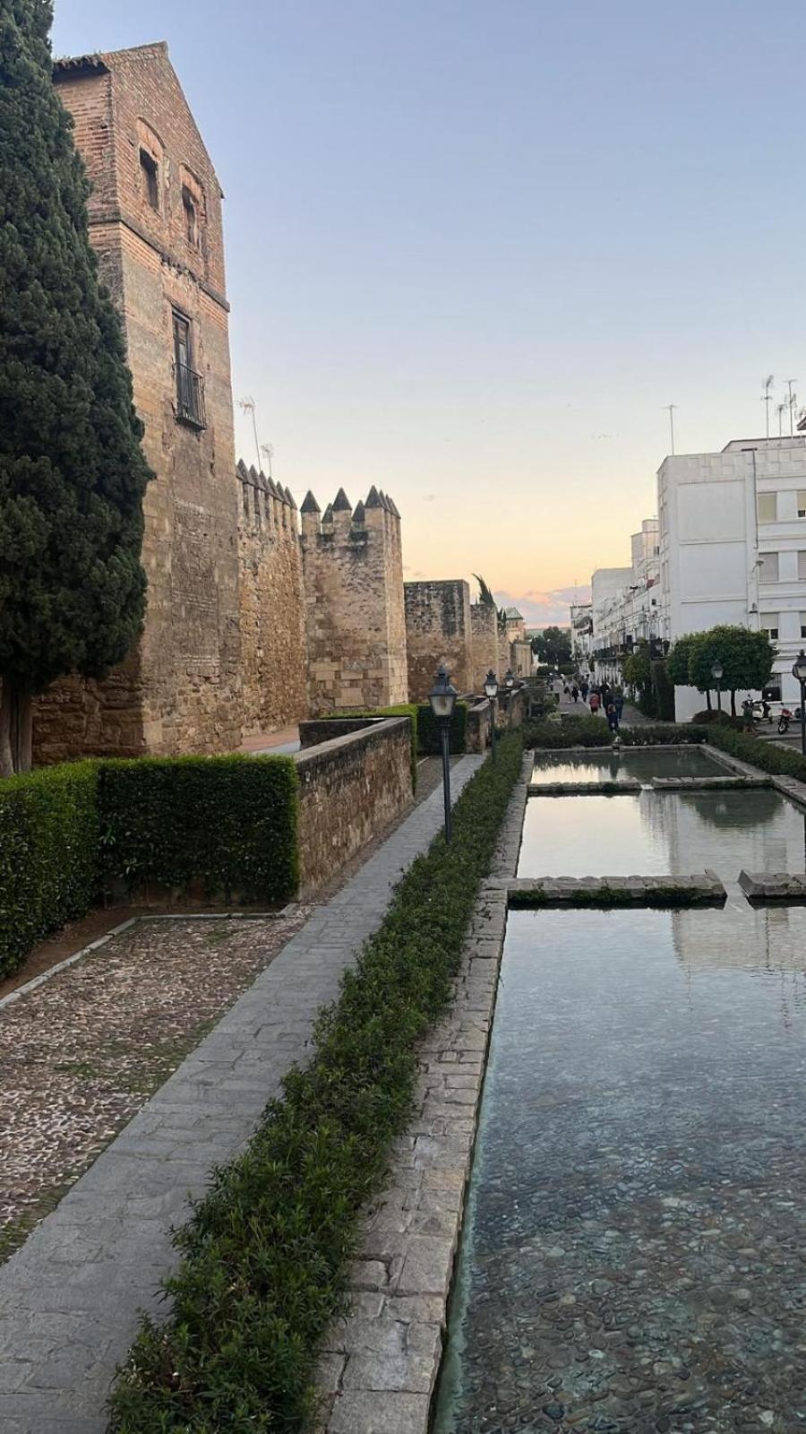 Apartamento Luxury Mezquita