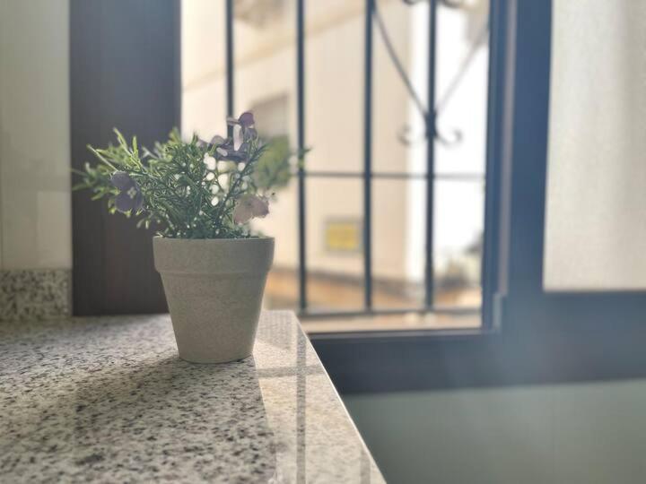 Esencia Historica En Mezquita Apartamento Córdoba