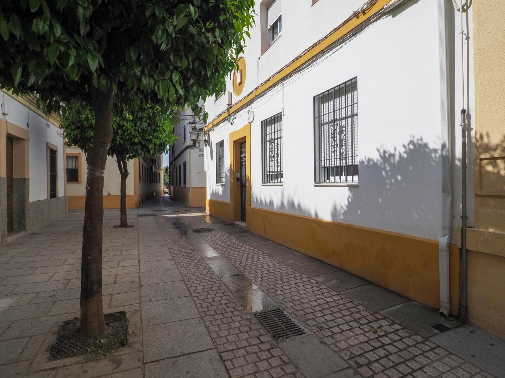 Apartamento Bhost - Tinte