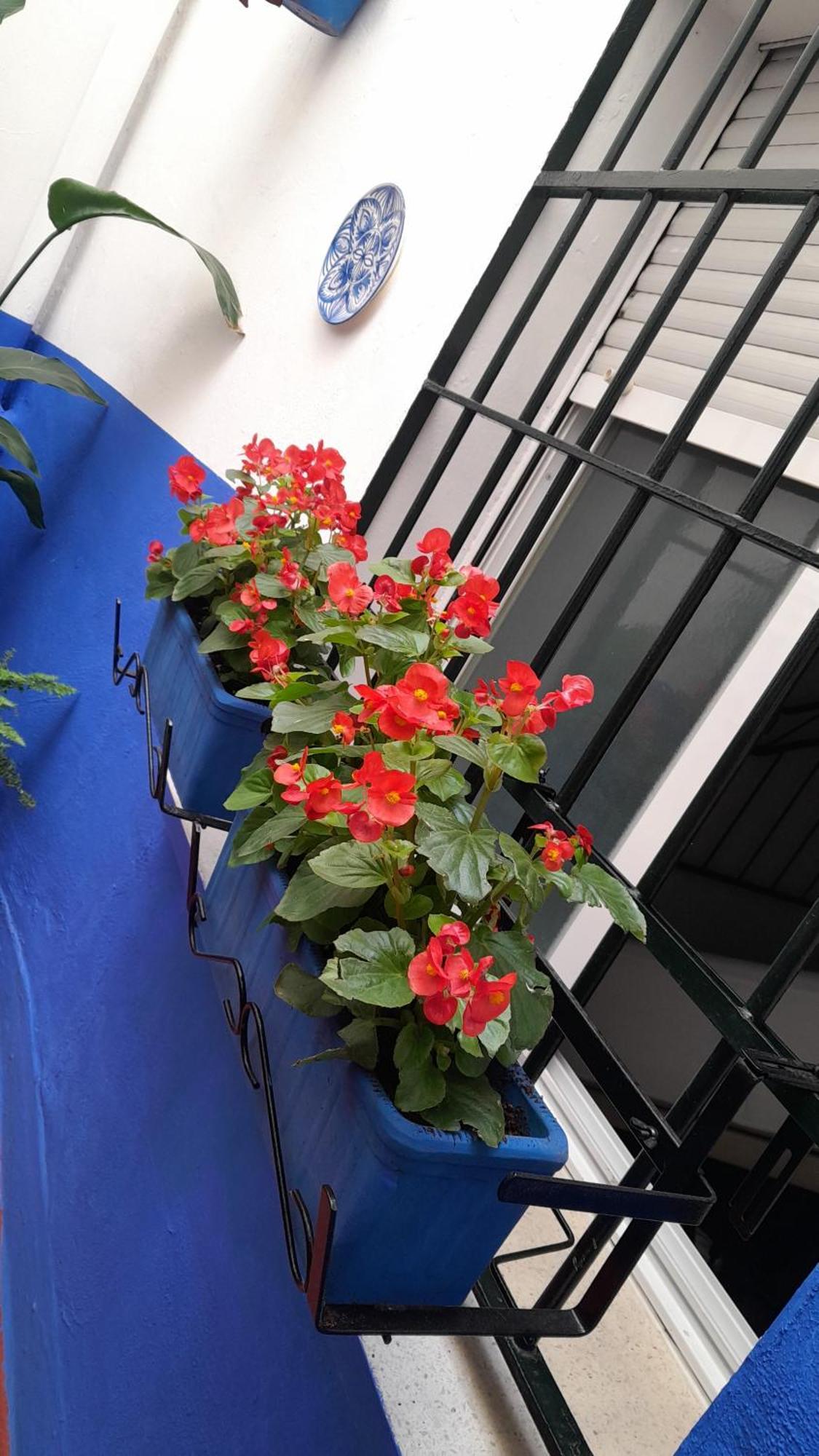 Puerta Sevilla Parking Gratis Apartment Cordoba