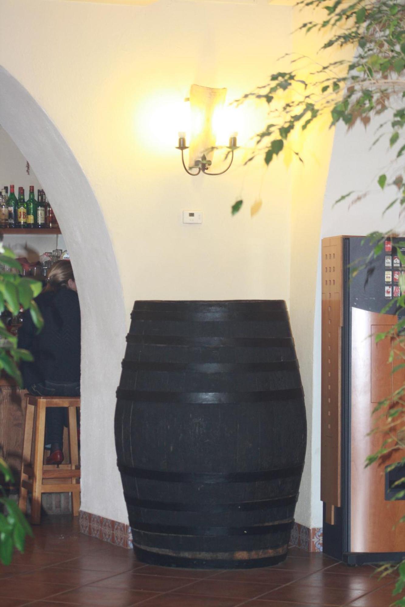 Hotel Plateros *