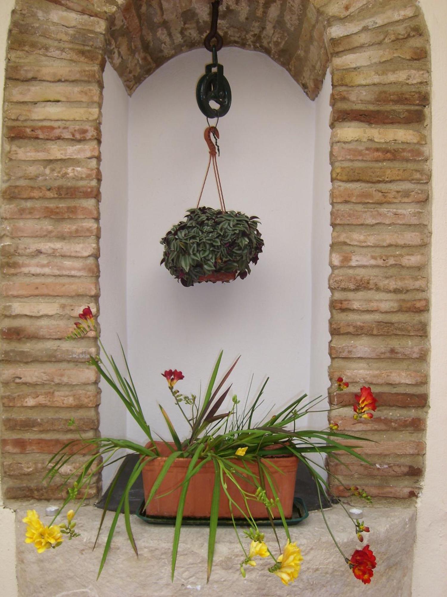 Plateros Cordoba
