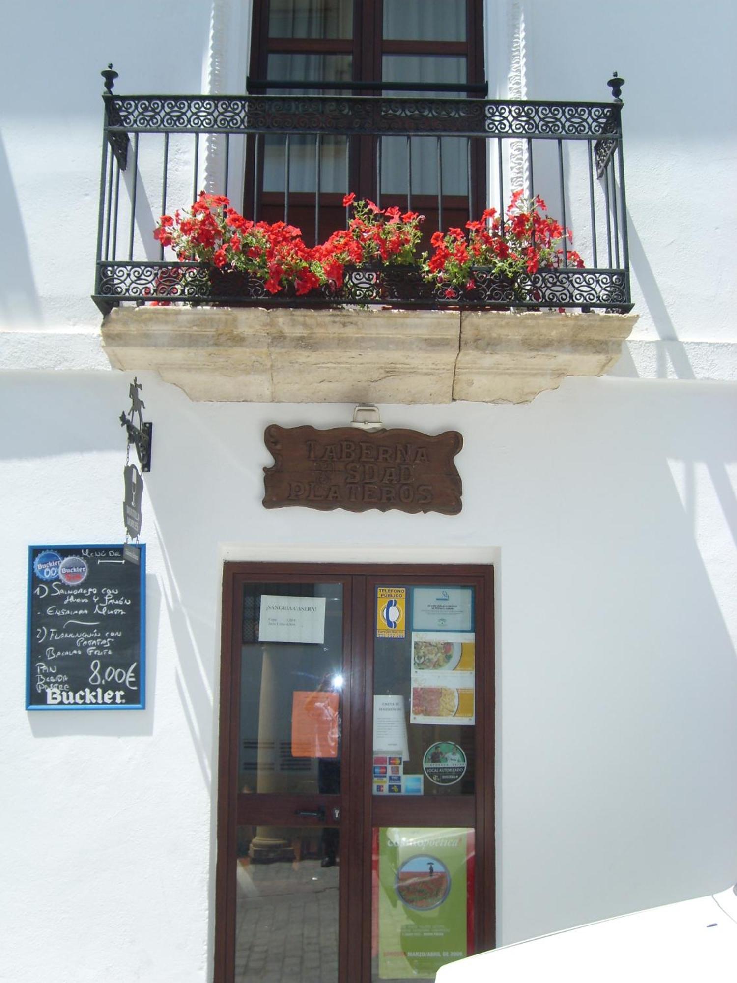 Hotel Plateros