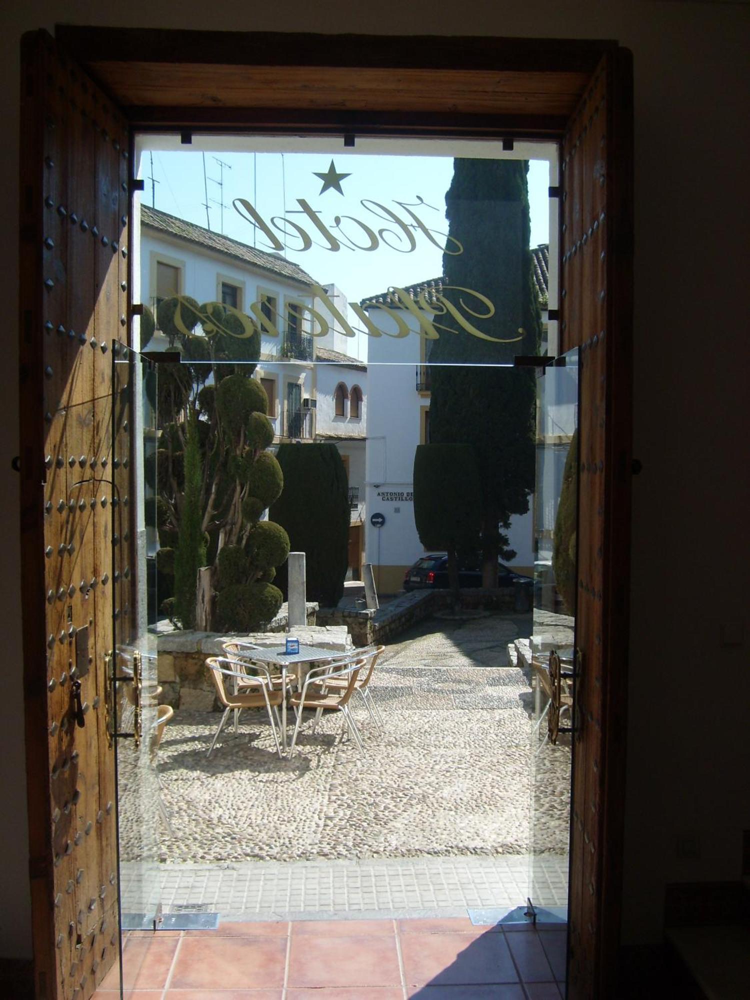 Hotel Plateros