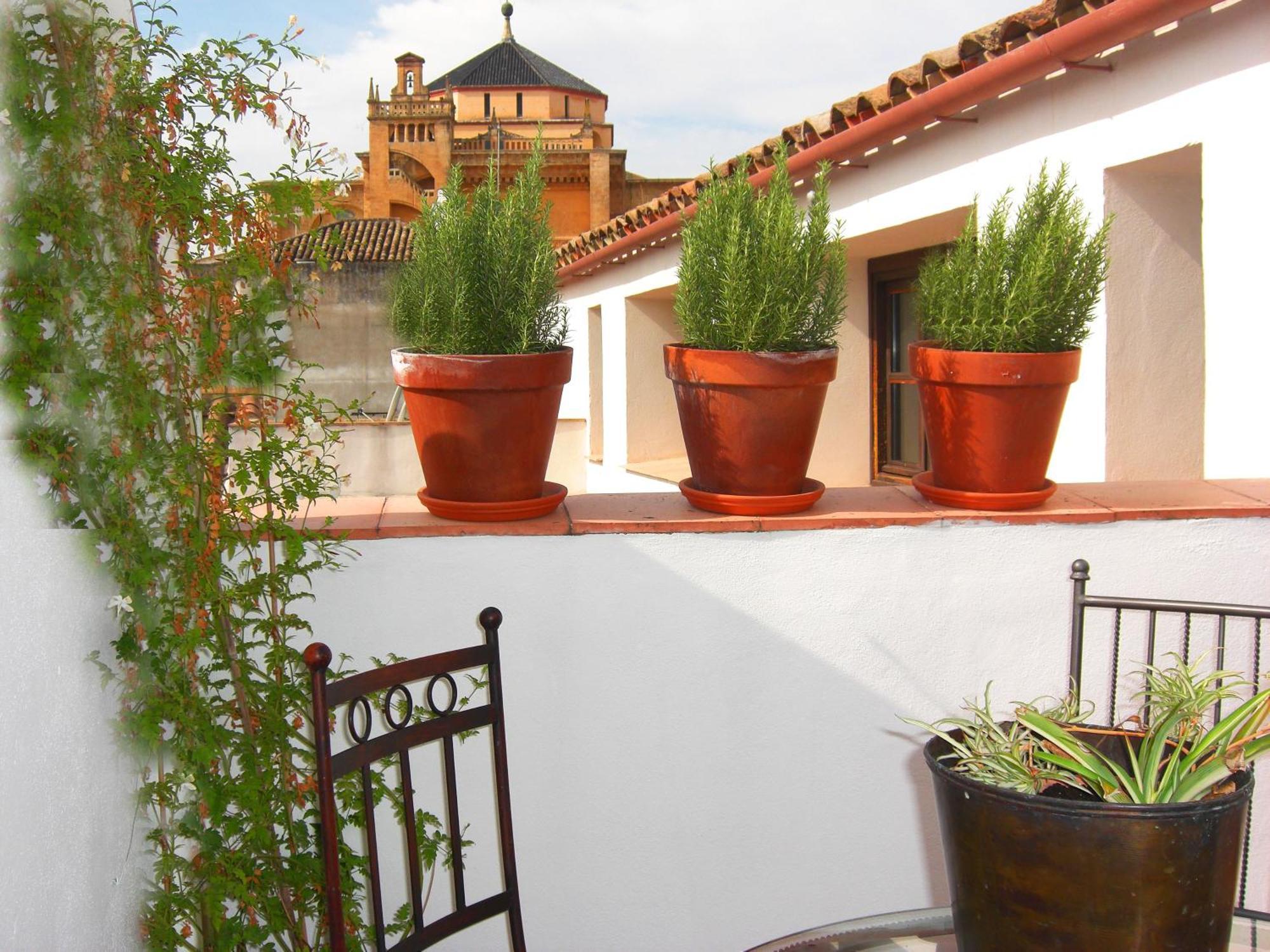 Apartment Patios De La Juderia *
