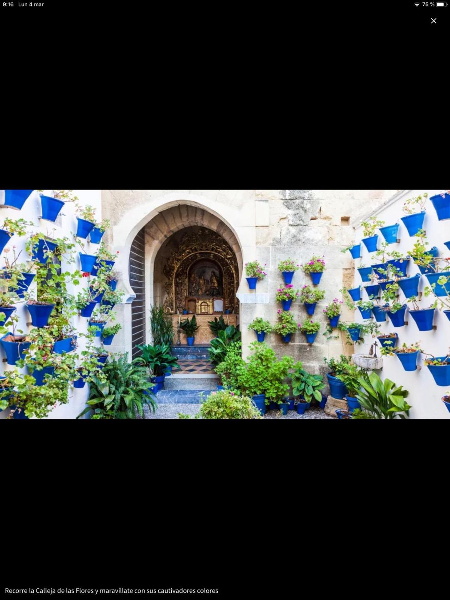 Centro Histórico Mezquita Judería La Preferida