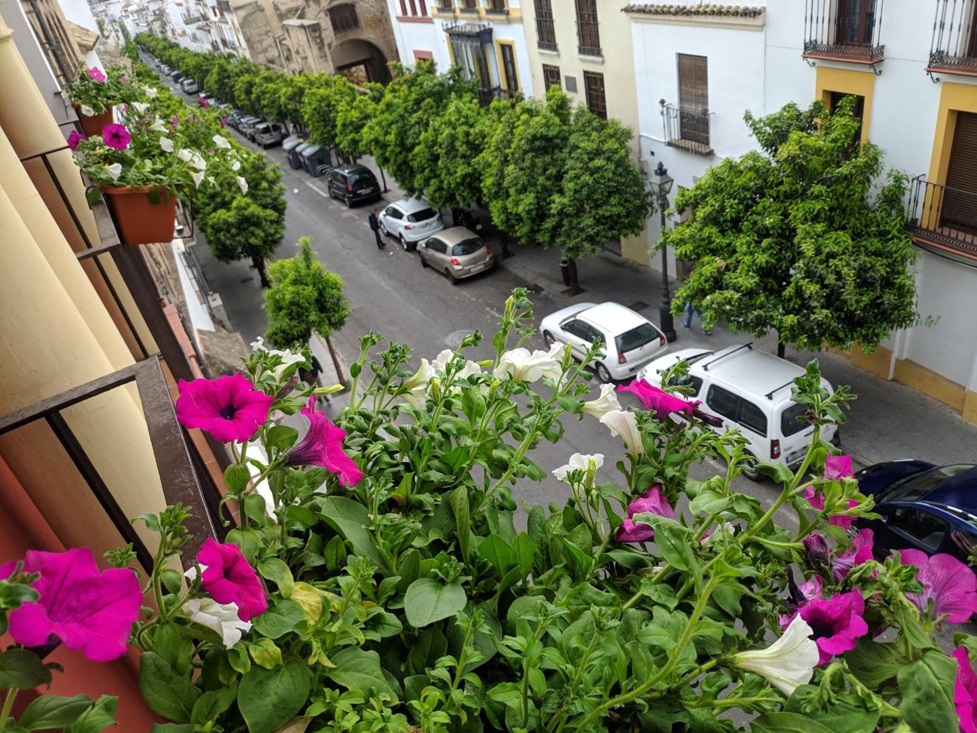 Apartment El Capricho De San Fernando, Consigna Gratis Y Parking A 200mts *