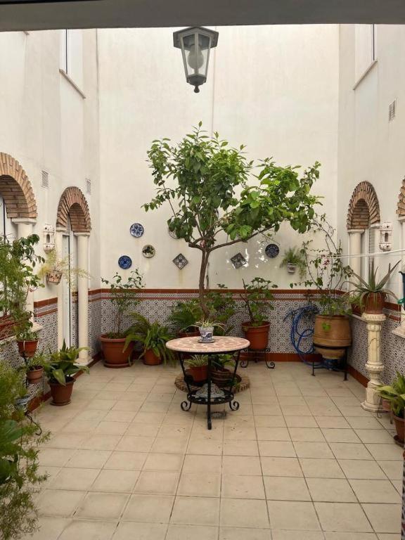 Hostel Alyana *