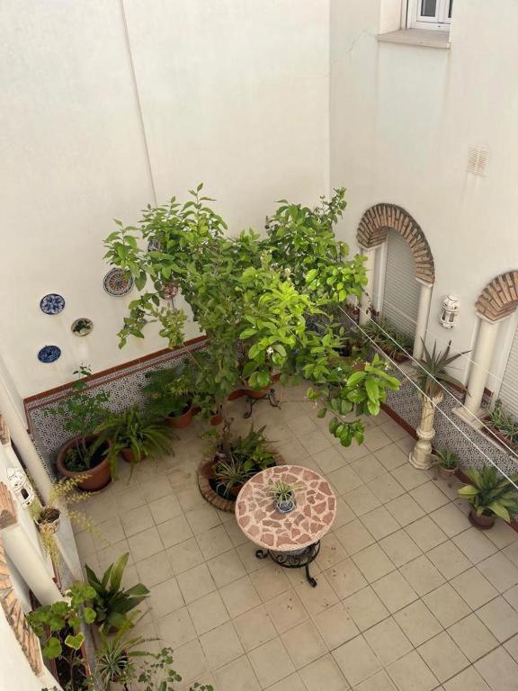 Hostel Alyana *