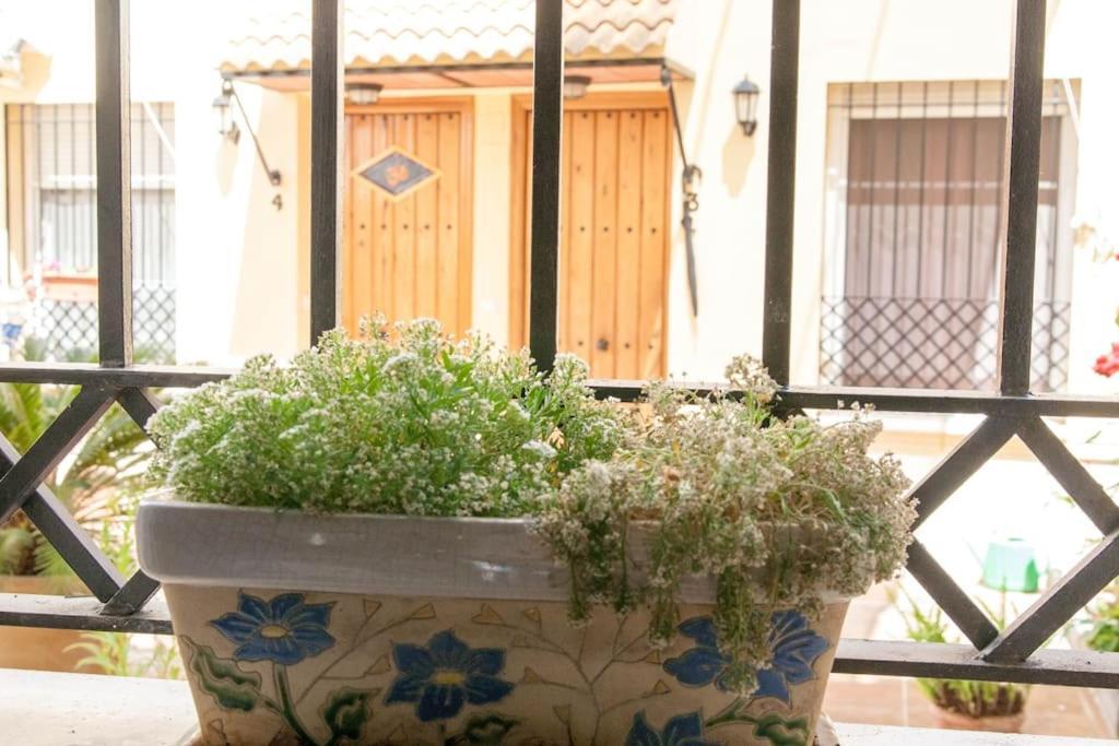 Apartamento El Encanto De Miraflores