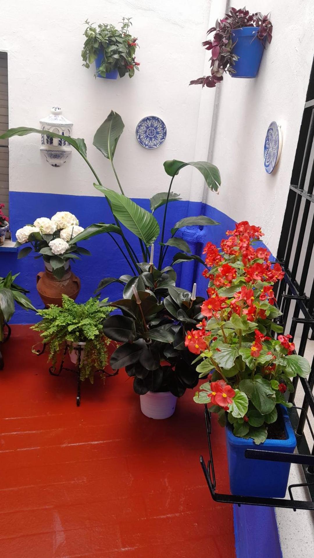 Puerta Sevilla Parking Gratis Apartment