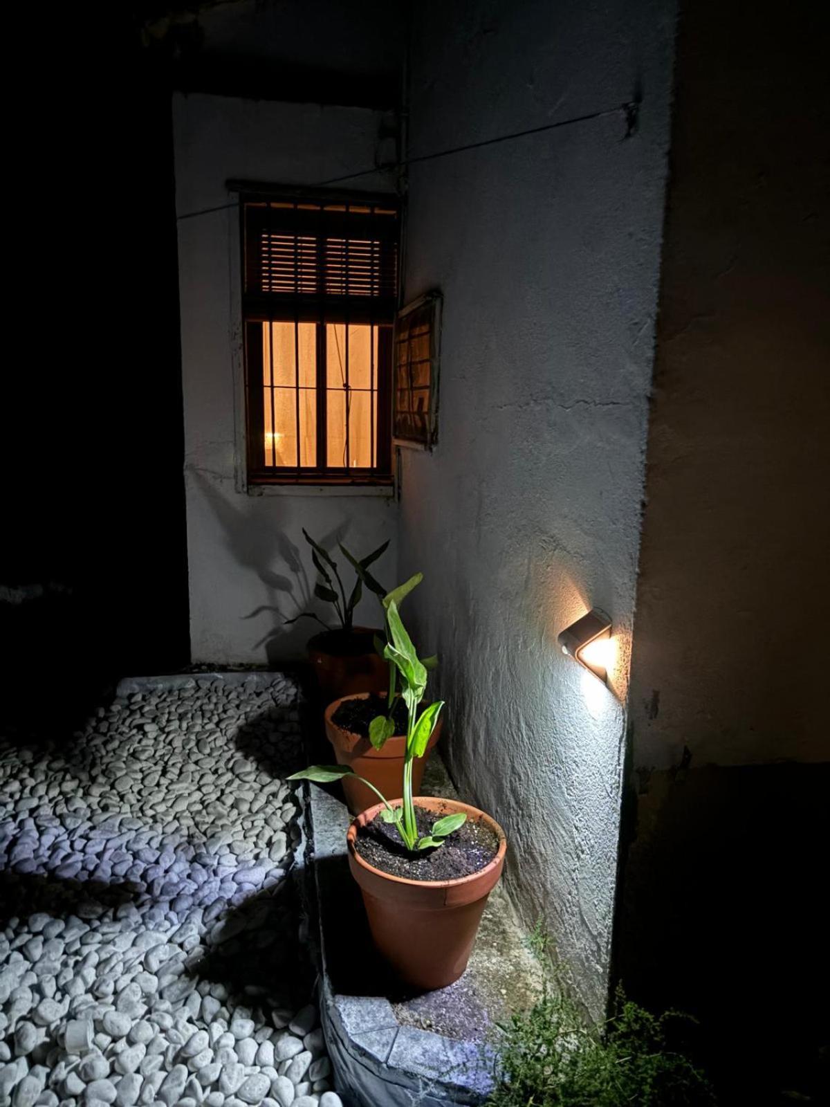 Huerta Del Pasil