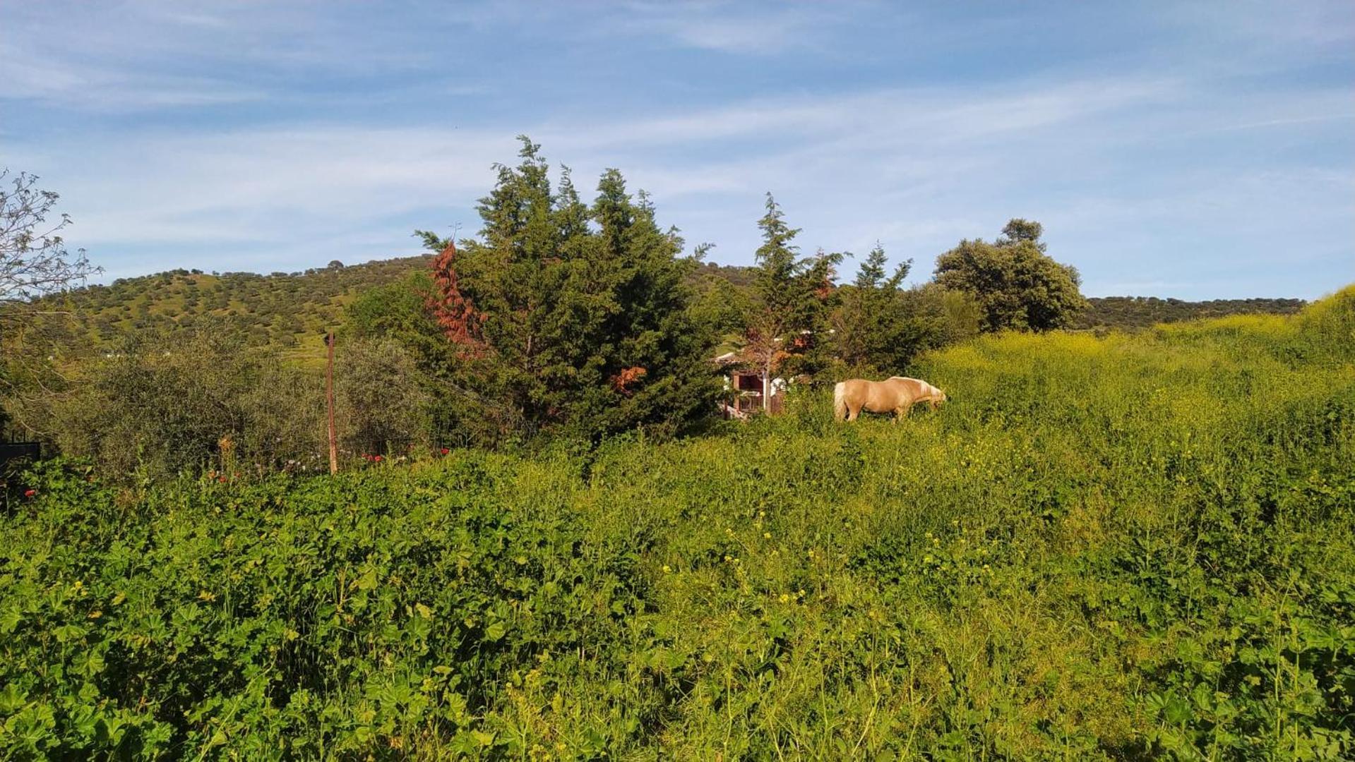 Huerta Del Pasil Córdoba