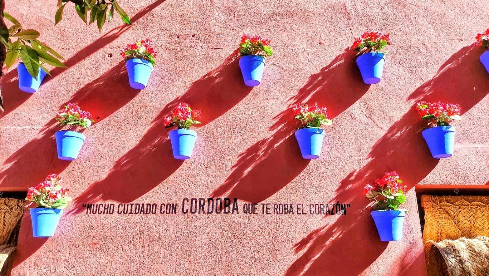 Flor De * Córdoba