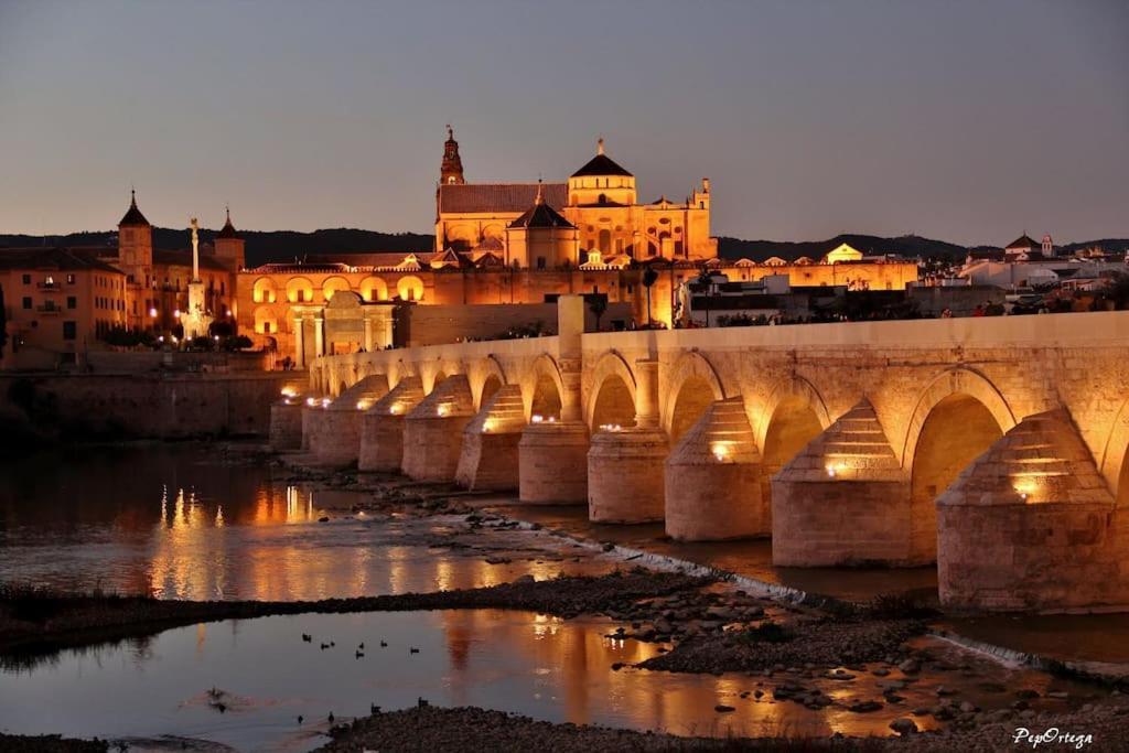 Apartamento Loft Al-nasir Junto Al Casco Historico Córdoba
