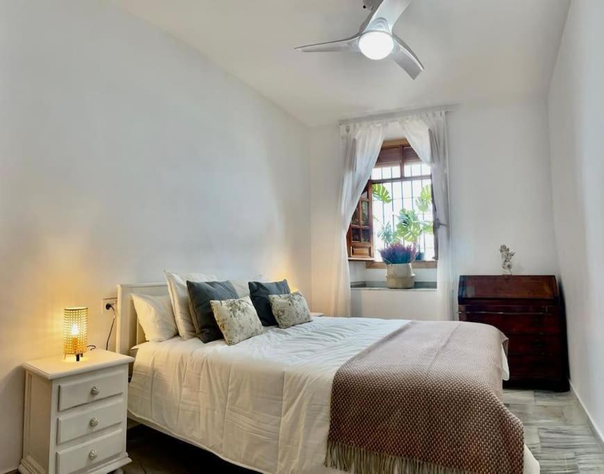 Apartamento Con Patio En El Casco Historico