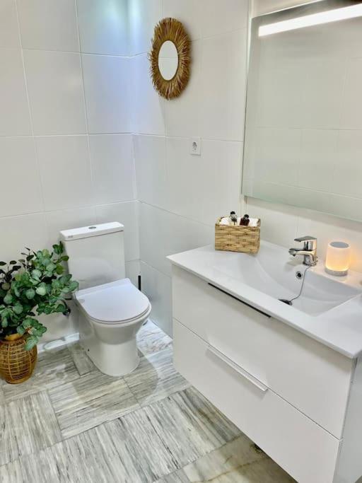 Apartamento Con Patio En El Casco Historico Apartamento *