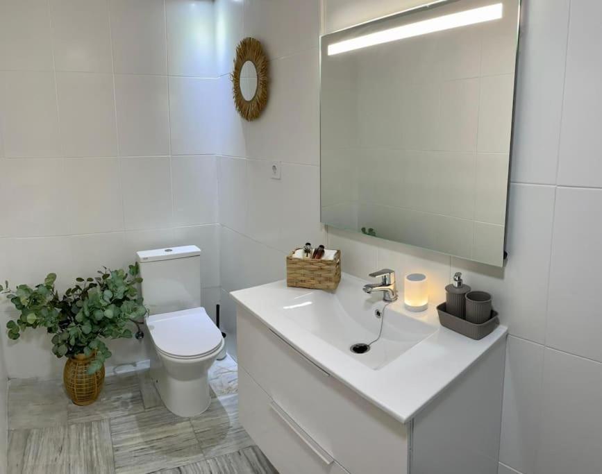Apartamento Con Patio En El Casco Historico Apartamento