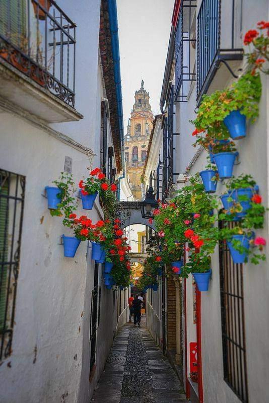 Loft El Arcángel Ii * Córdoba