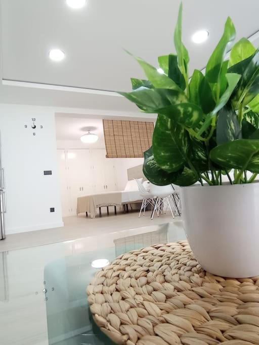 Loft Alve