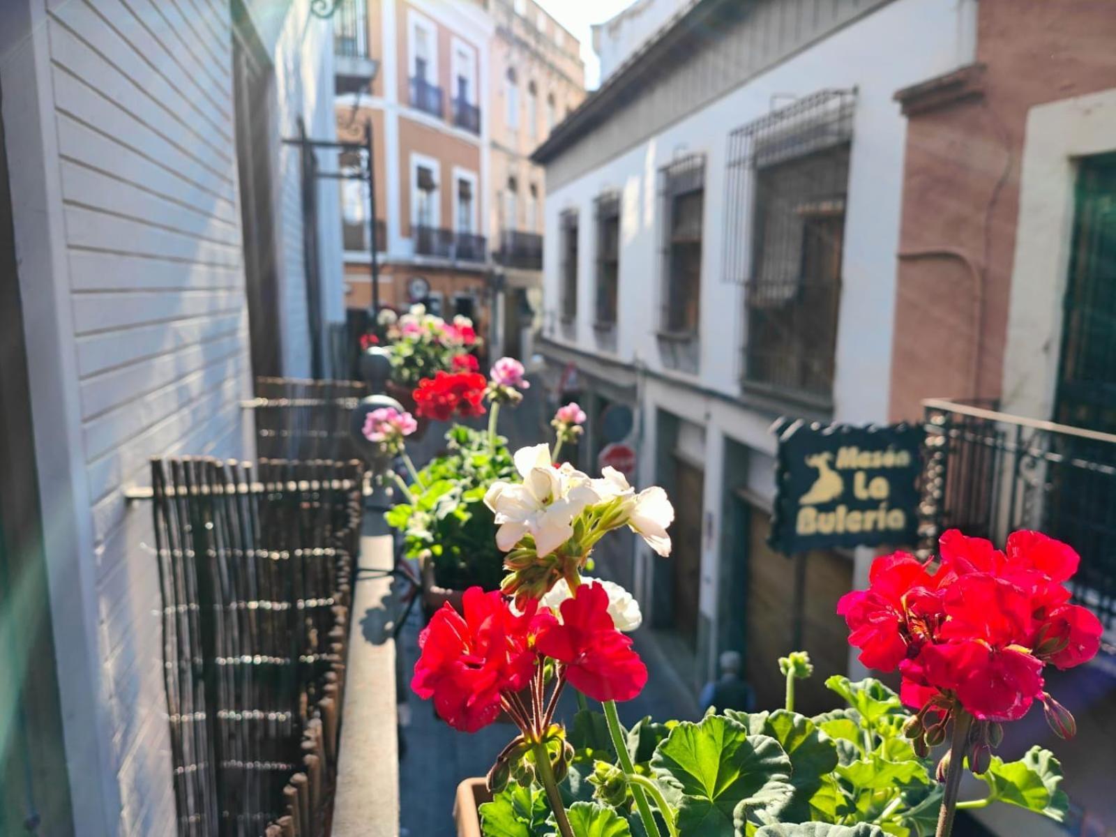 Balcon Del Templo *