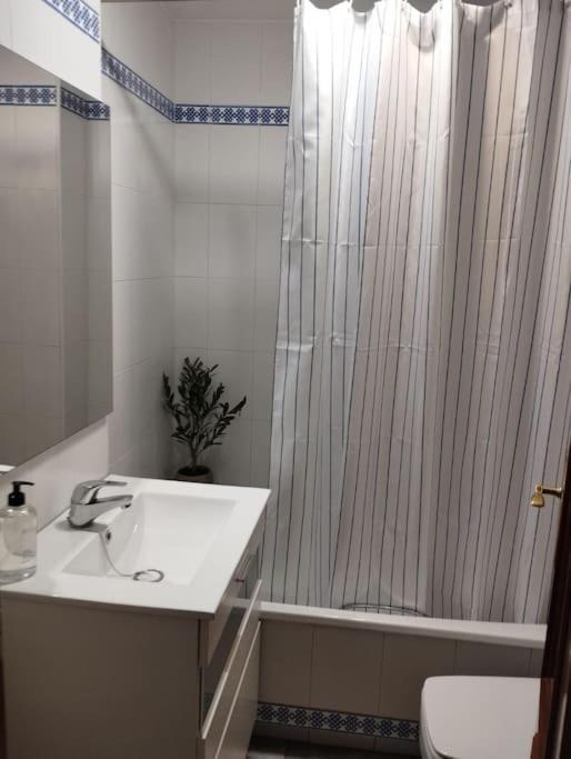 Acogedor Centrico Apartamento Córdoba