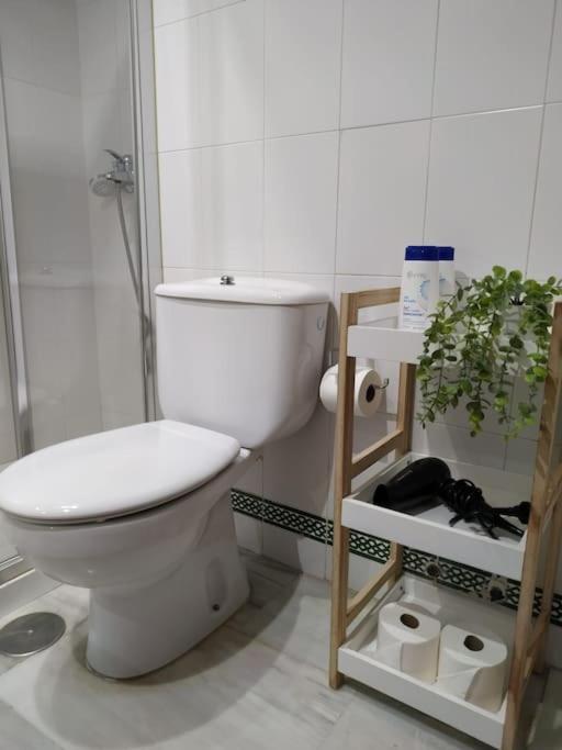 Acogedor Centrico Córdoba