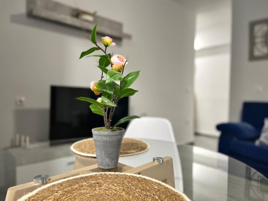 Apartamento Rincon Andaluz 3 Córdoba
