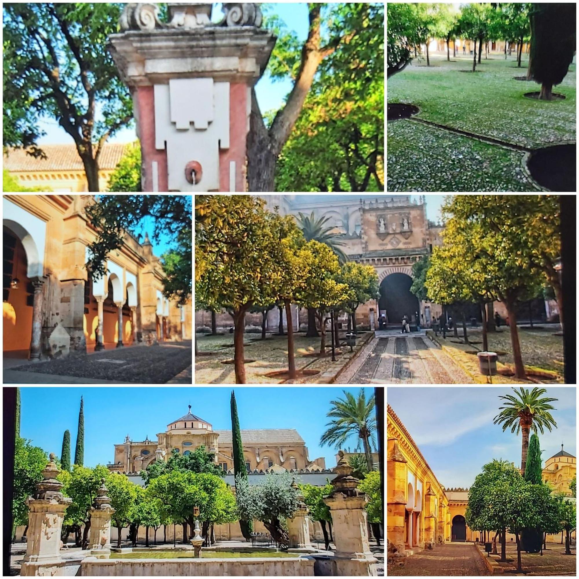 A 20 Metros De La Mezquita Catedral ,apartamentos Turistico Cespedes 5 Apartment Cordoba