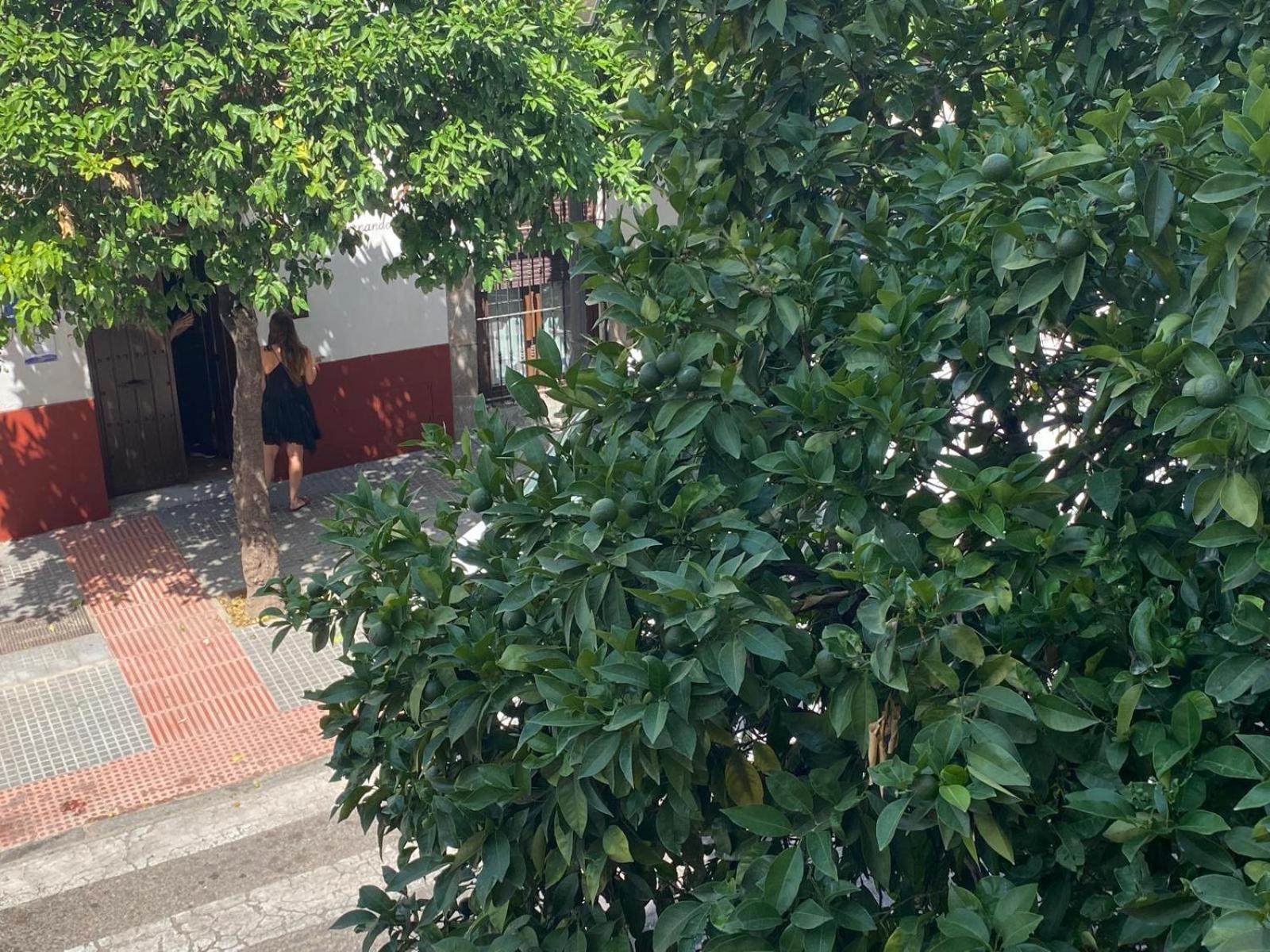 La Escalerita * Córdoba