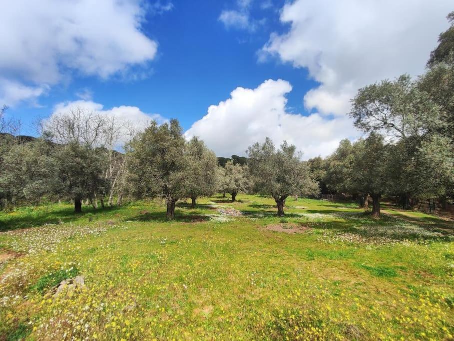 El Lagar De Val Raigon Córdoba