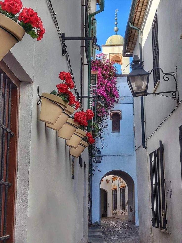 Precioso Loft El Arcangel Junto A La Ribera Apartment *