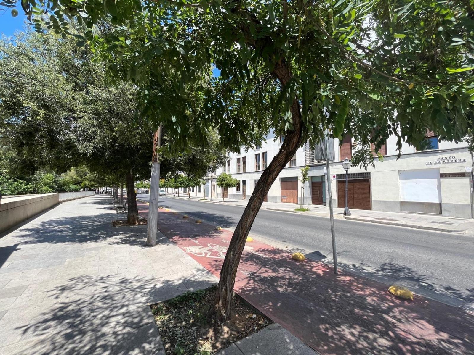 Apartamento Casa Paseo De La Ribera 32