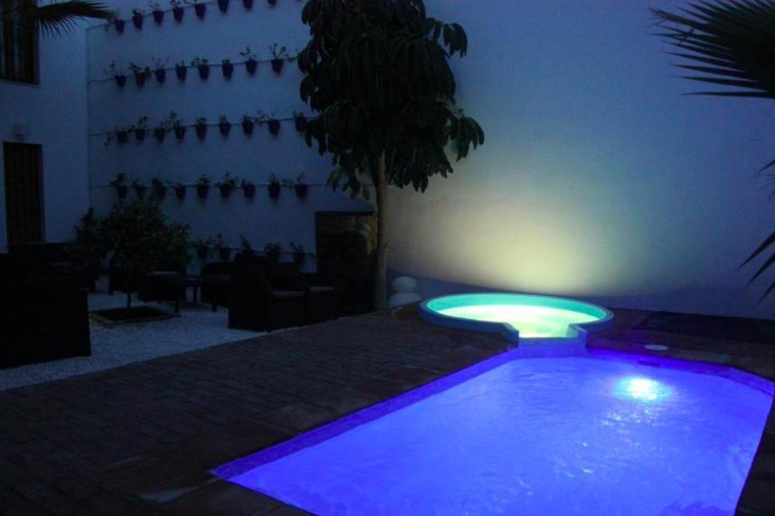 Apartamento Casa Patio Palmeras Con Piscina Córdoba