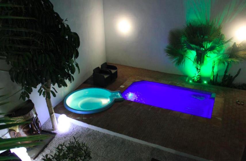 Apartamento Casa Patio Palmeras Con Piscina Córdoba