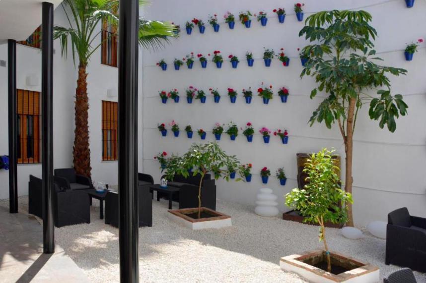 Casa Patio Palmeras Con Piscina *