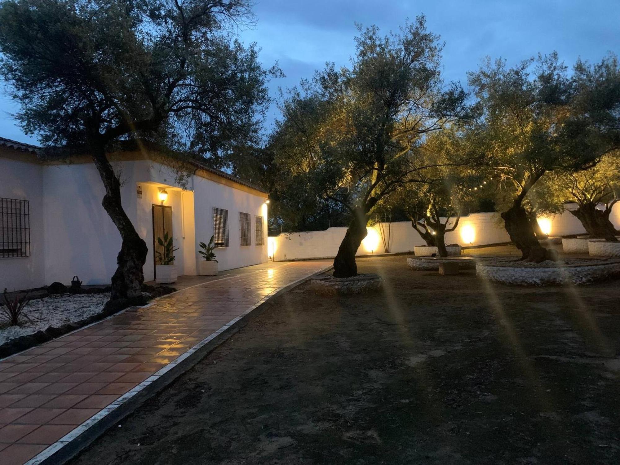 El Rincón Del Brillante