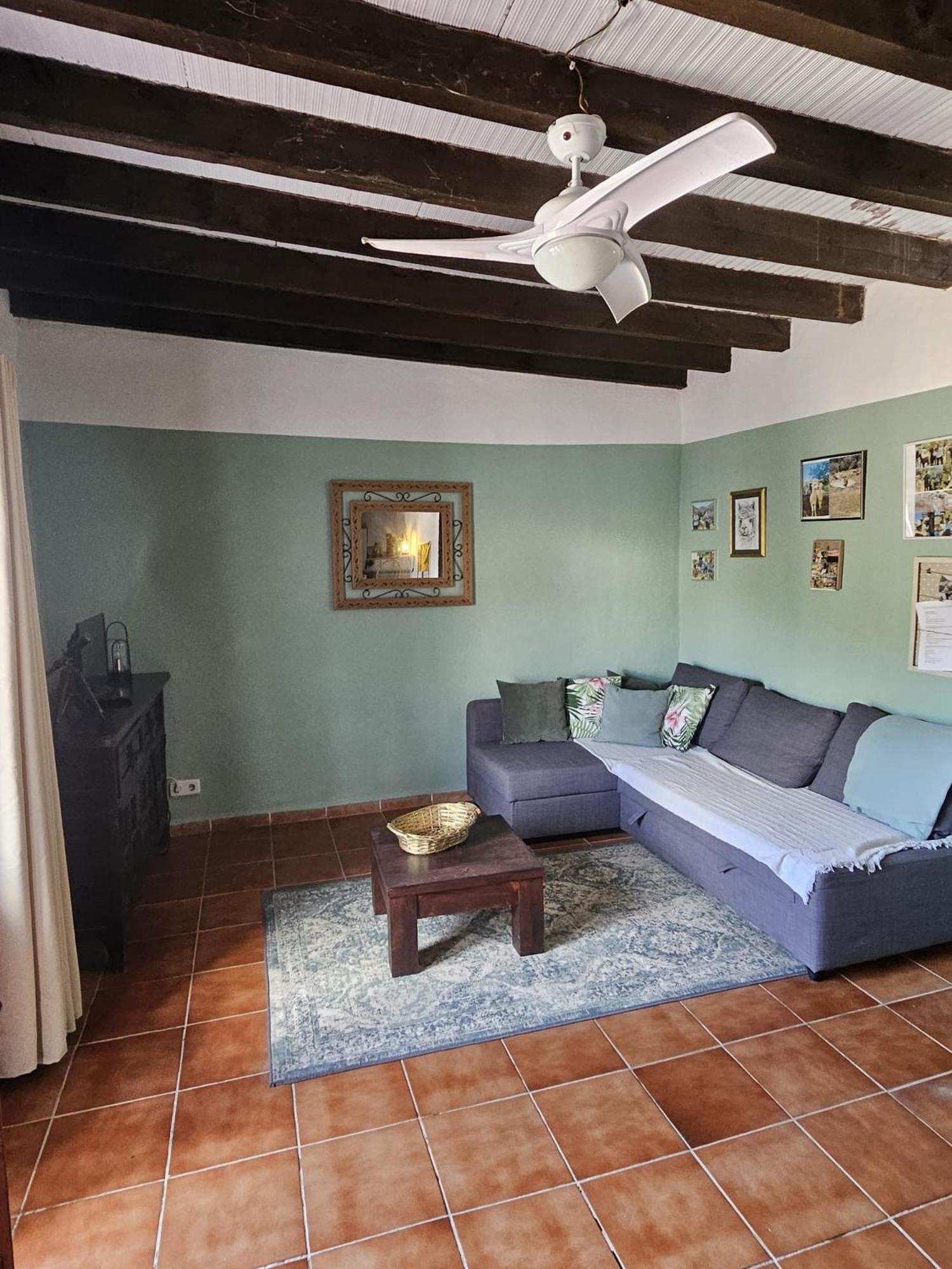 Apartamento Experience Alpacas In Andalucia Córdoba