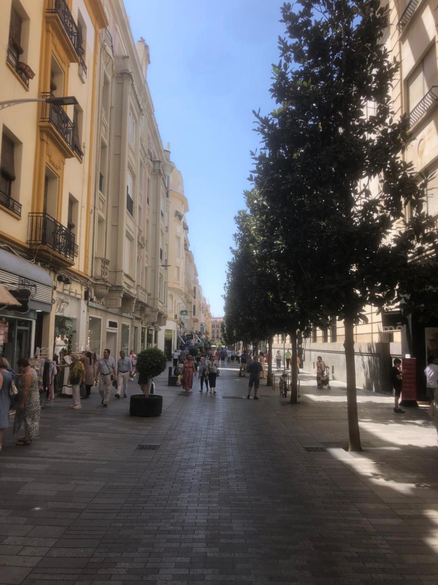 En El Centro Totalmente Climatizado, Parking Gratuito Apartment Cordoba