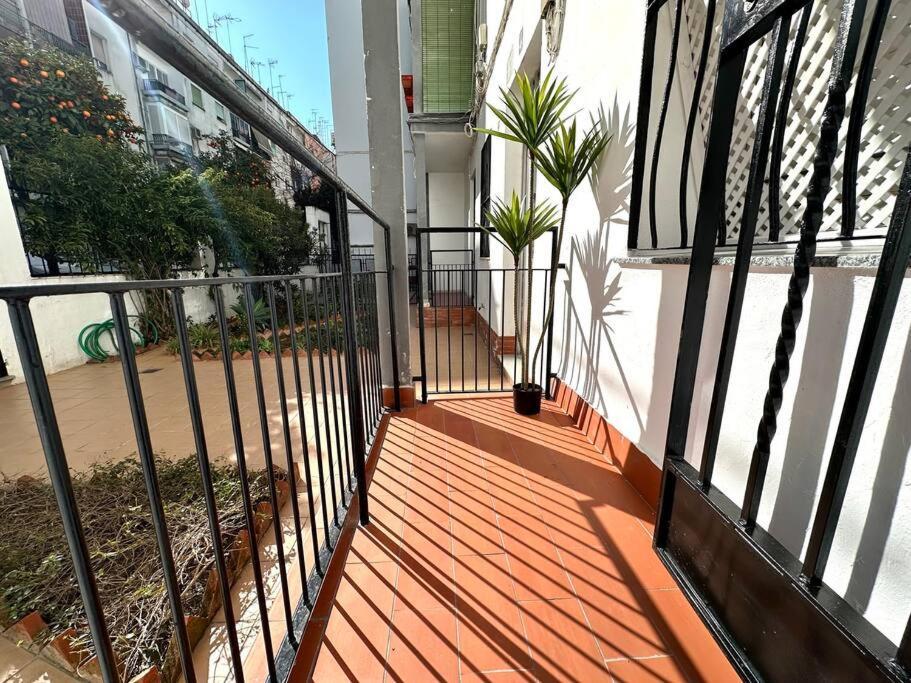 Rincon Andaluz 4