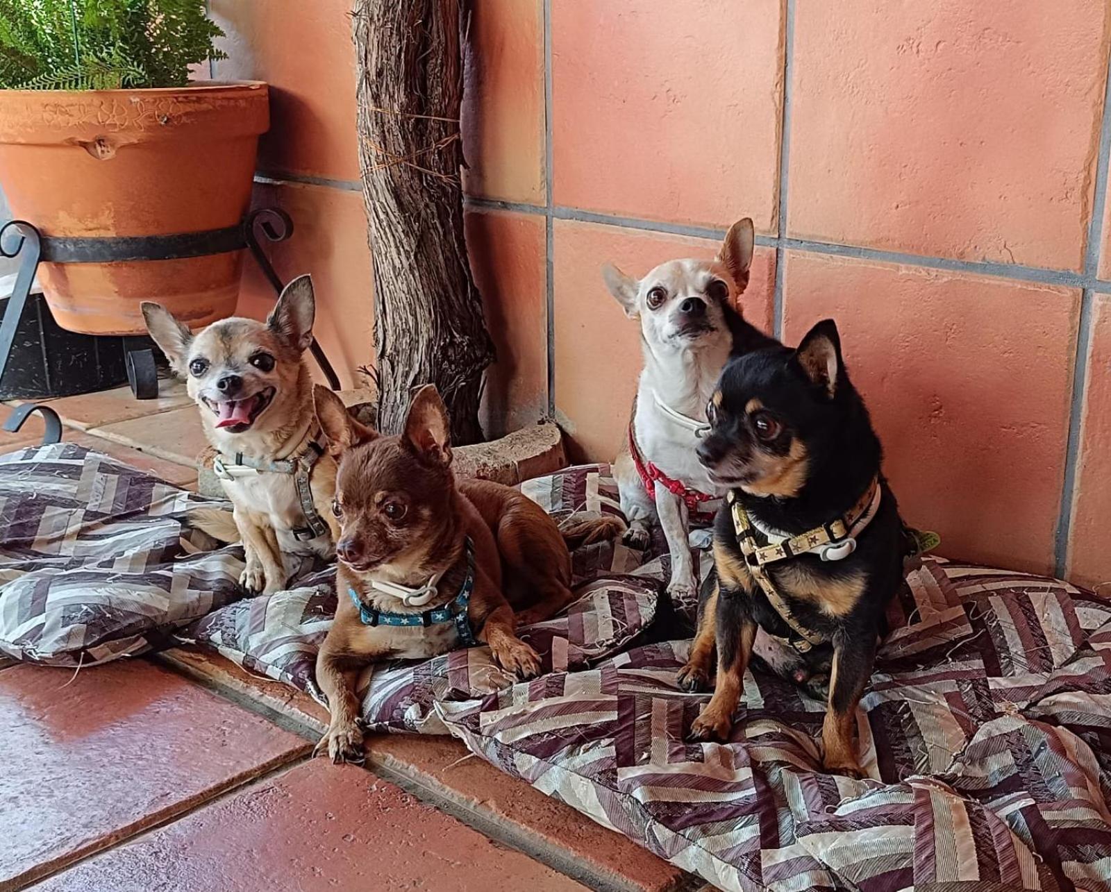Huerta Del Pasil Сasa de vacaciones Córdoba
