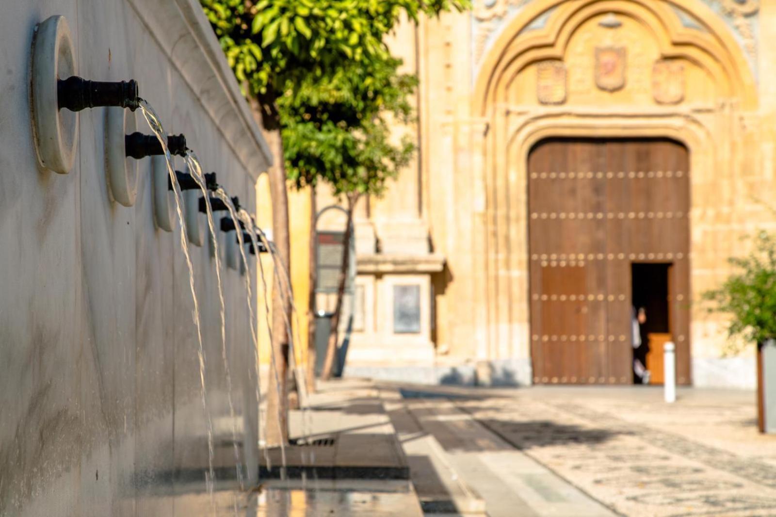 Patios De San Lorenzo Con Parking