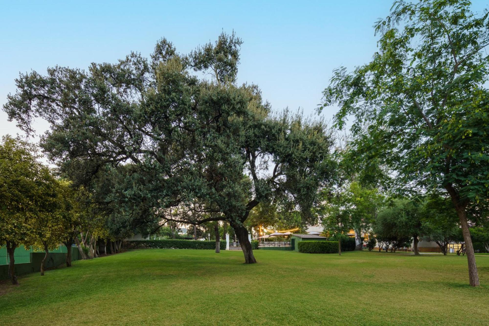 Crisol Jardines De