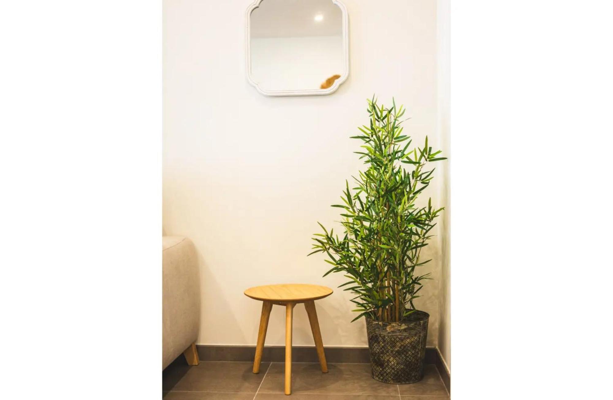 Apartamento Flores De Gitanilla 2 *