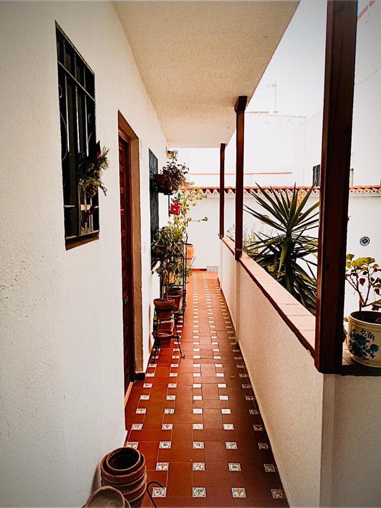 Ruz Córdoba
