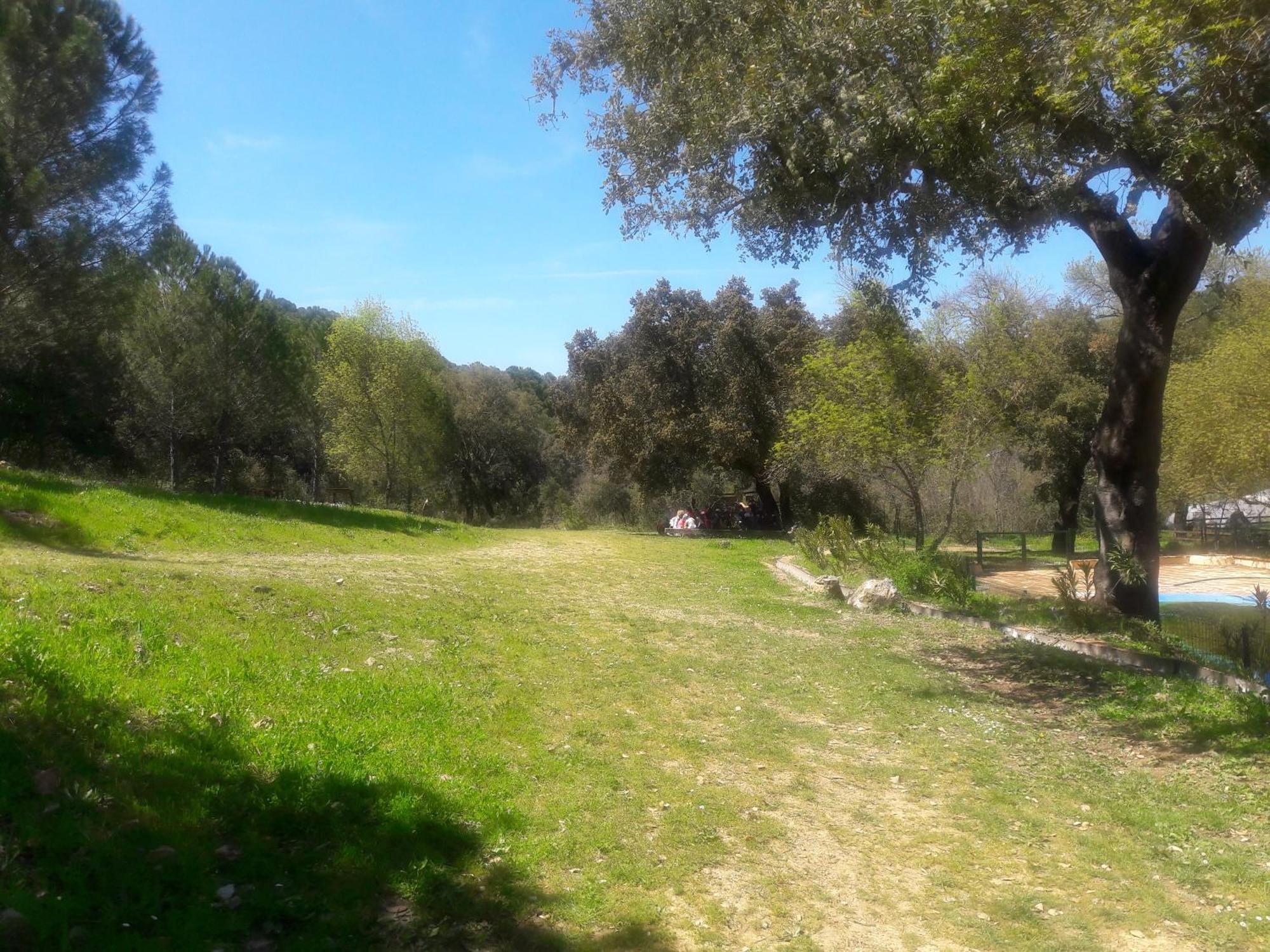Сasa de vacaciones Del Bosque Cerca De *