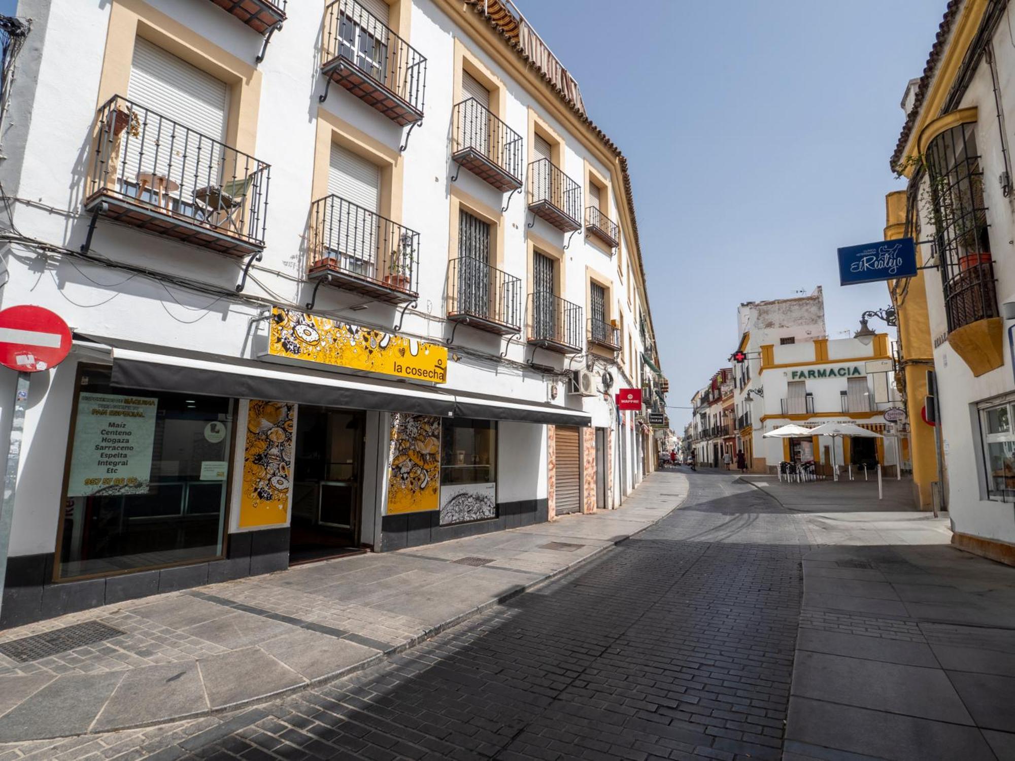 Bhost - Palacete Del Aguila Apartment